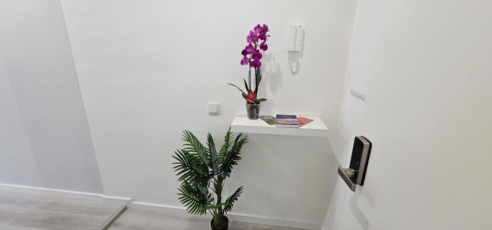 Time Off Madeira Apartman Funchal  Kültér fotó